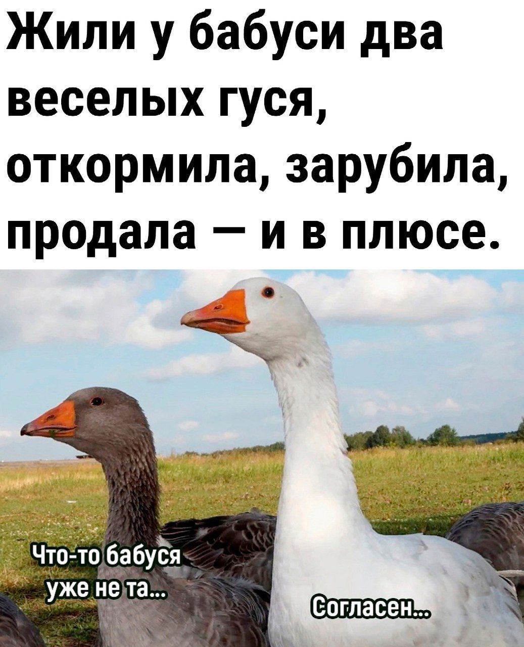 Жили у бабуси два веселых гуся откормила зарубипа продала и в плюсе