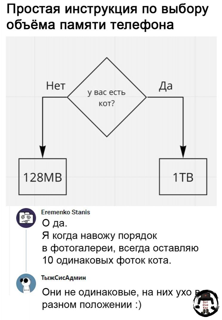 Простая инструкция по выбору объёма памяти телефона Нет у вас есть кот7 128МВ 1ТВ Еютепко тв 0 да Я когда навожу порядок фотогалереи всегда оставляю 10 одинаковых фоток кота тыжсикммии ОНИ не ОДИНЗКОВЫЭ На НИХ УХО РЭЗНОМ положении