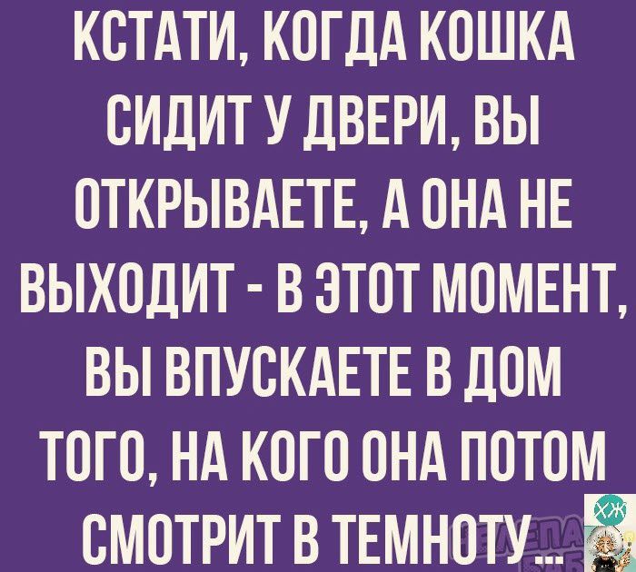 КОТАТИ КОГДА КОШКА ОИДИТ У дВЕРИ ВЫ ОТКРЫВАЕТЕ А ОНА НЕ ВЫХОДИТ В ЭТОТ МОМЕНТ ВЫ ВПУОКАЕТЕ В ЛОМ ТОГО НА КОГО ОНА ПОТОМ ОМОТРИТ В ТЕМНОТУ