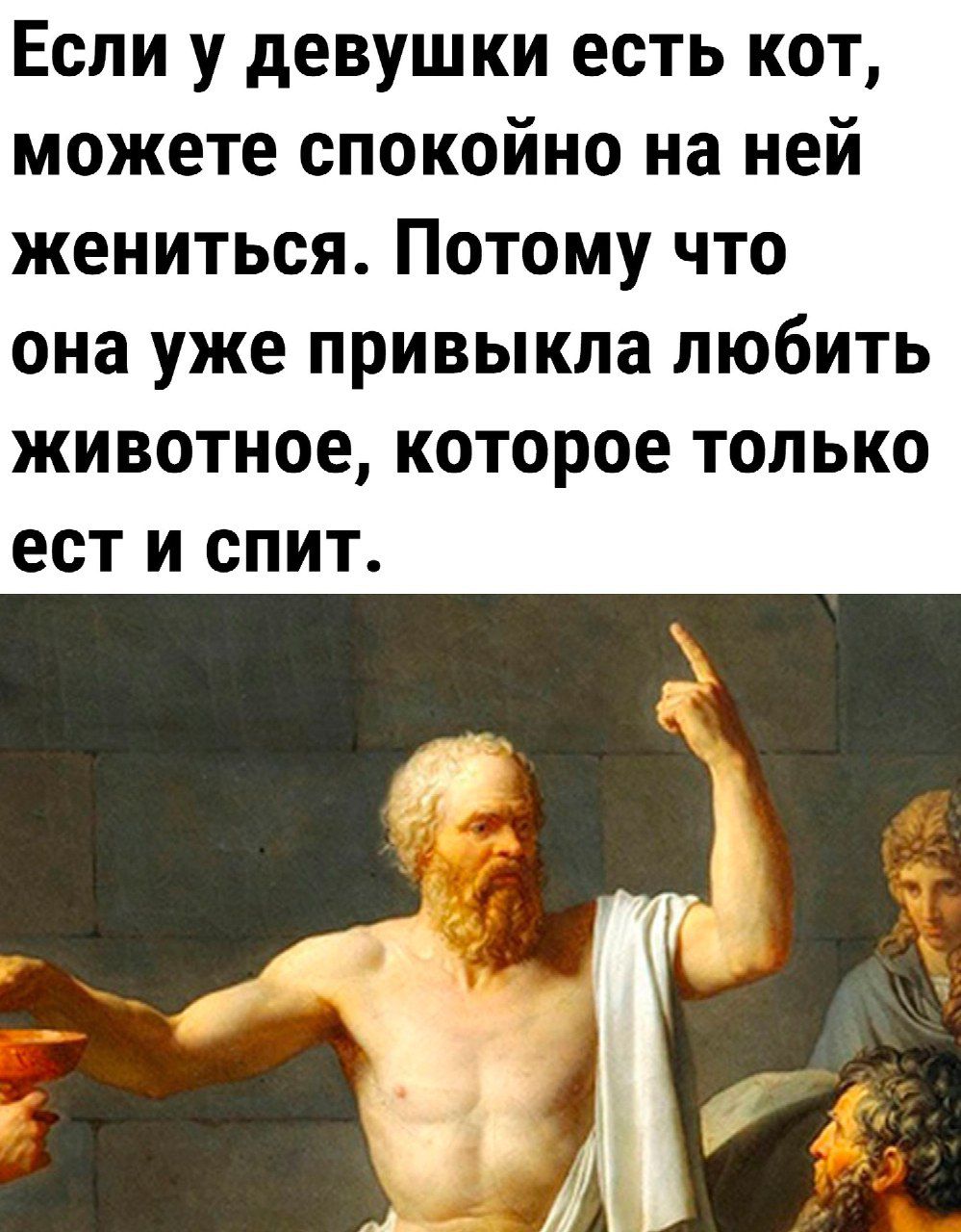 Если у девушки есть кот можете спокойно на ней жениться Потому что она уже ПРИВЫКЛЗ ЛЮбИТЬ ЖИВОТНОЕ КОТОРОЕ ТОЛЬКО ОСТ И СПИТ