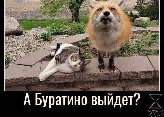 ___ И А Буратин Выйдет