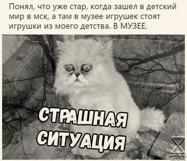 ПОНЯЛ ЧТО УЖЕ СТдр когда зашел В ДЕТСКИЙ мир В МСК 5 Там В МУЗЕЕ ИГРУШЕК СТОЯТ игрушки из моего детства В МУЗЕЕ