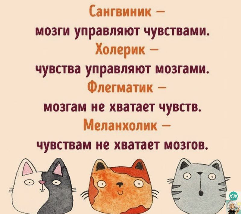 Сангвиник мозги управляют чувствами Холерик чувства управляют мозгами Флегиачик мозгам не хватает чувств Меланхолик чувствам не хватает мозгов
