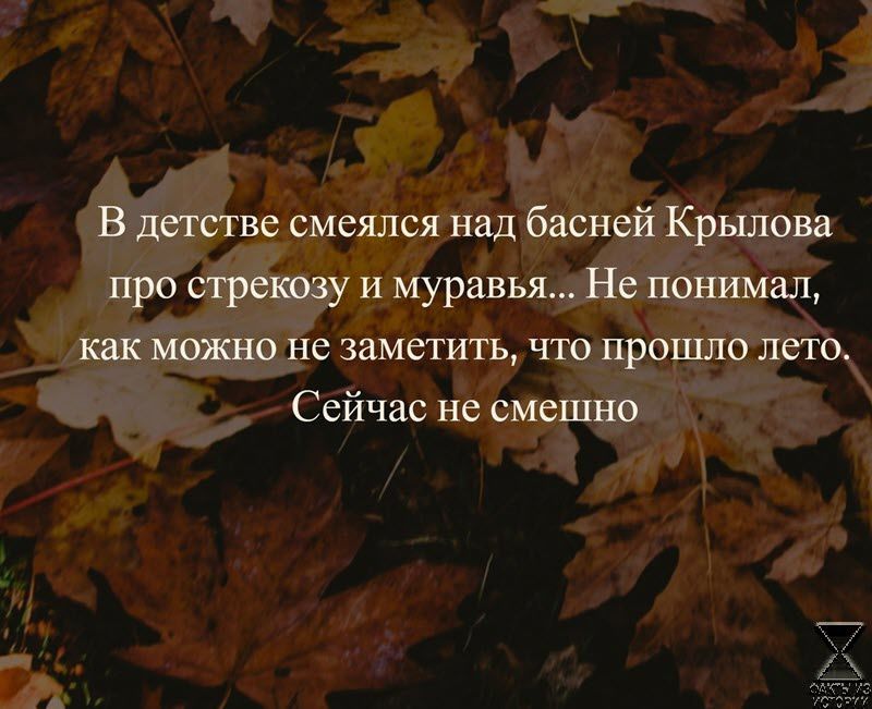 В детстве смеялся над басней Крылова про стрекозу и муравья Не понимал кпк можно не заметить что прошло лет Сейчас не смешно