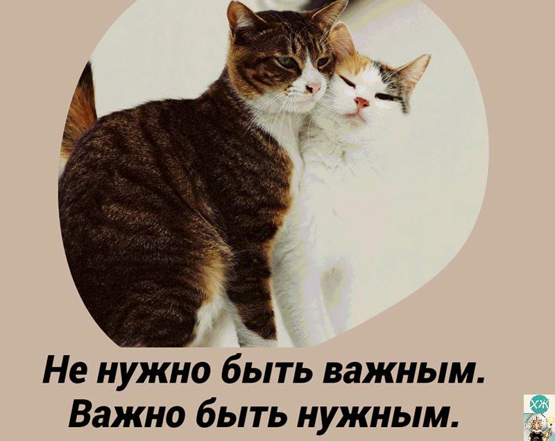 Не нужно быть важным Важно быть нужным ё