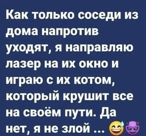 Как только соседи из дома напротив уходят я направляю лазер на их окно и играю с их котом который крушит все на своём пути да нет я не злой Ой