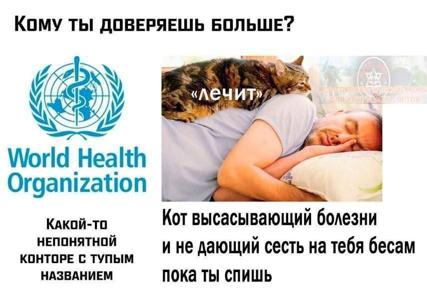 Кпму ты дпввгявшь БППЬШЕ мы НеаШ 0г9апі1атіоп _ ши Кат высасывающий бодезии ШИ и не дающий сесть на тебя бесам кпитпв тупым идявдииш пока ТЫ спишь