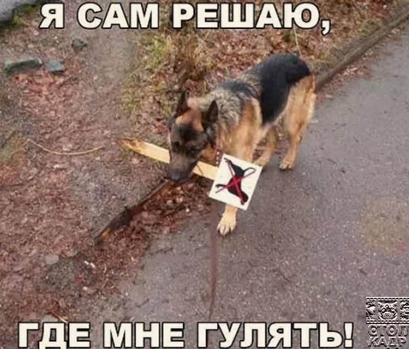 ЯСАМРЕ А ю__г _ _ для Гд т ГЁЕ мнЕ ГУЛЯТЬ