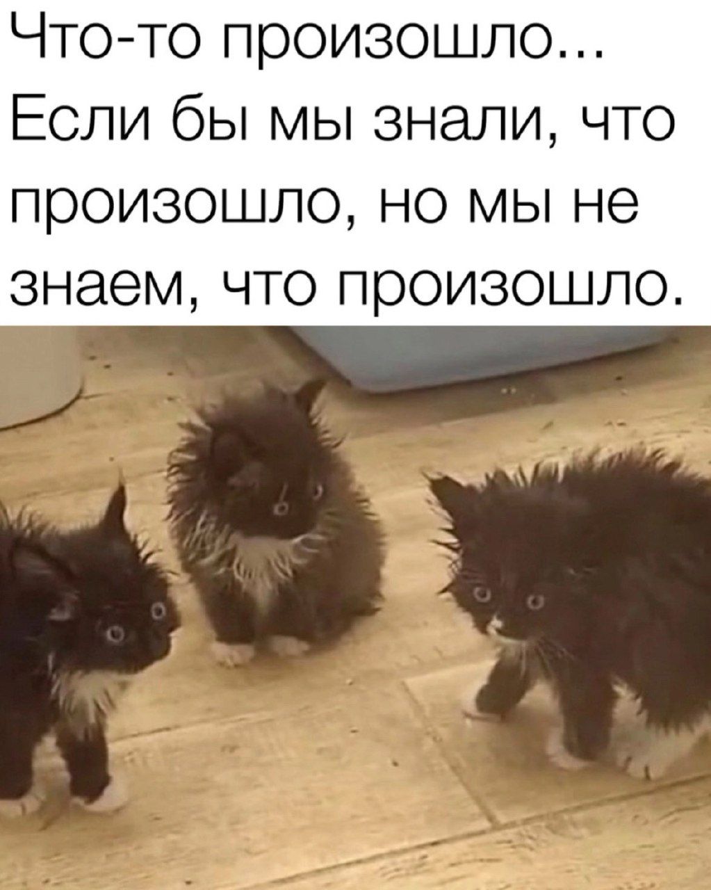 Что то произошло Если бы мы знали что произошло НО МЫ не знаем что произошло