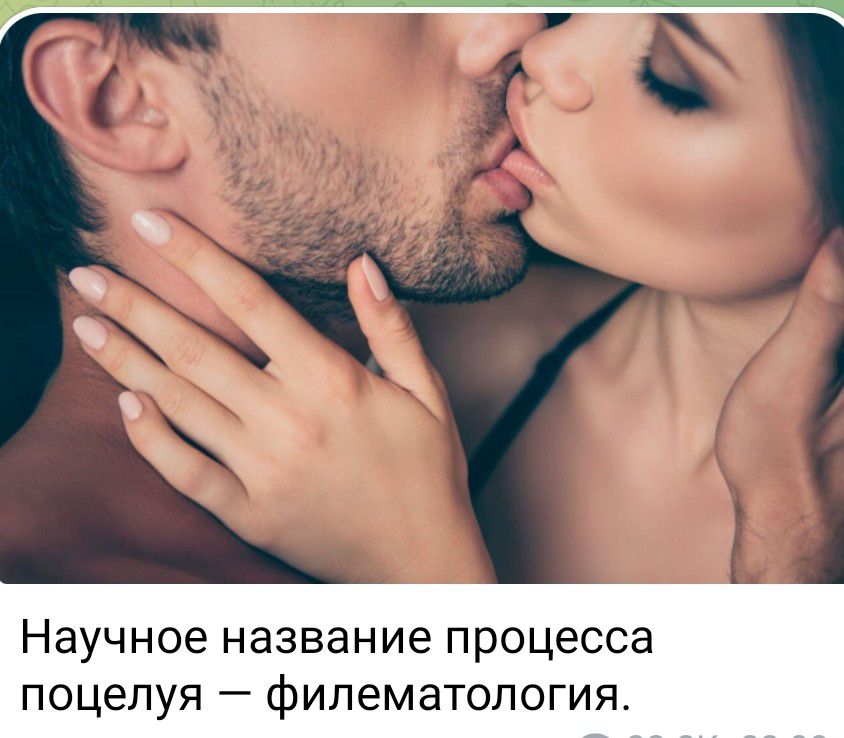Научное название ПРОЦЕССЕ поцелуя _ филем ЭТОПОГИЯ