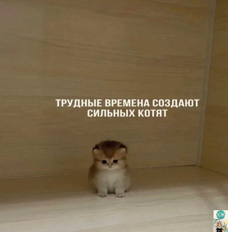 ТРУДНЫЕ ВРЕМЕНА ВПЗДАЮТ БИПЬНЫХ КПП Ану