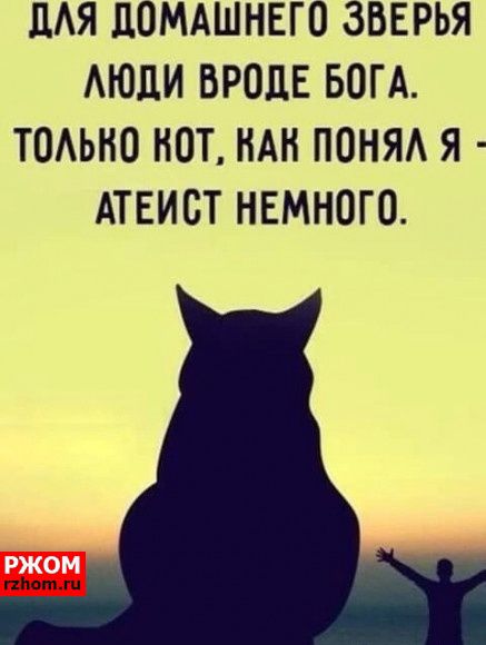 ЦАЯ ПОМАШНЕГО ЗВЕРЬЯ АЮЦИ ВРОДЕ БОГА ТОАЬНО НОТ НАН ПОНЯА Я АТЕИСТ НЕМНОГО