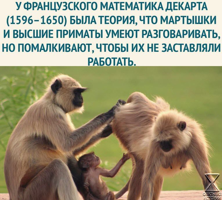 У ФРАНЦУЗСКОГО МАТЕМАТИКА ДЕКАРТА 1596 1650 БЫЛА ТЕОРИЯ ЧТО МАРТЫШКИ И ВЫСШИЕ ПРИМАТЫ УМЕЮТ РАЗГОВАРИВАТЬ НО ПОМАЛКИВАЮТ ЧТОБЫ ИХ НЕ ЗАСТАВЛЯЛИ