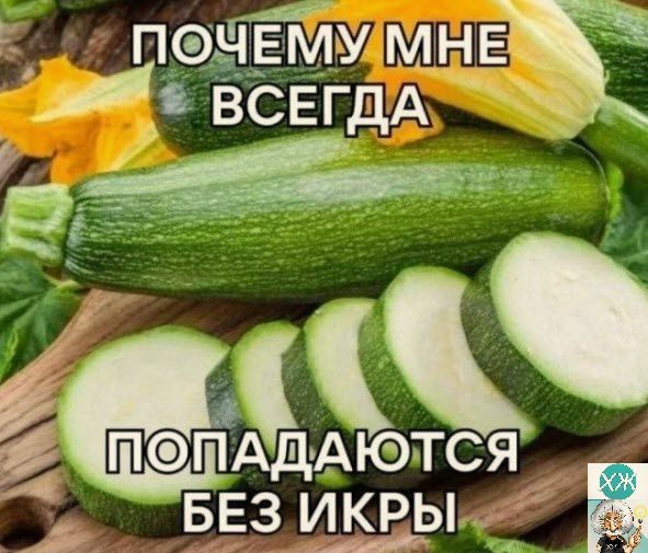 пэдЁйу МНЕ ді ЁСЕГДА Ё БЕЗ ИКРЫ