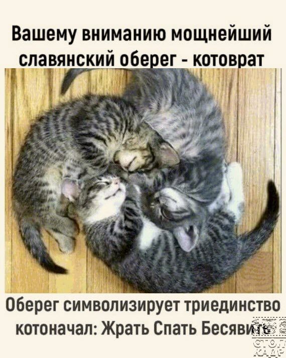Вашему вниманию мощнейший славянский обе ег котоврат Г Оберег символизирует триединс котоначап Жрать Спать Бесявиз