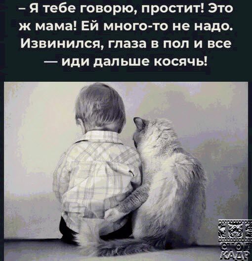 Я тебе говорю простит Это ж мама Ей много то не надо Извинипся глаза в пол и все иди дальше косячь