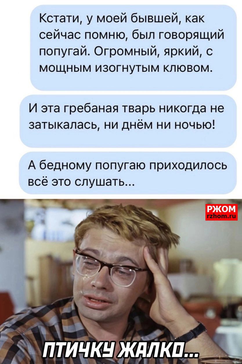 Кстати у моей бывшей как сейчас помню был говорящий попугай Огромный яркий с мощным изогнутым клювом И эта гребаная тварь никогда не затыкапась ни днём ни ночью А бедному попугаю приходилось всё это слушать