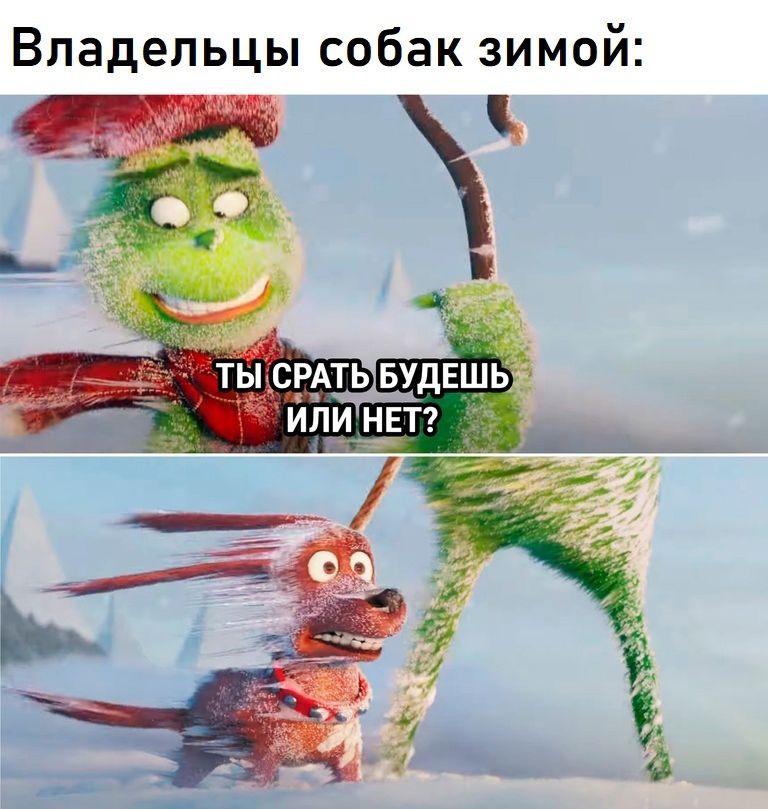 Владельцы собак зимой