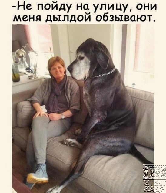 Не пойду н_1_ улицу они меня дылдои обзывают