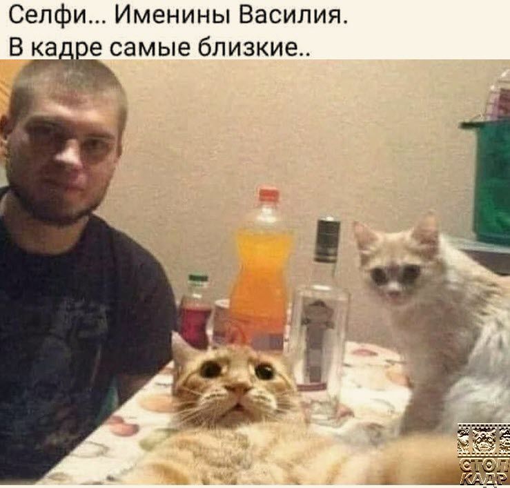 Сепфи Именины Василия В КЗБЁЭ самые близкие