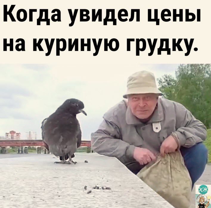 Когда увидел цены на куриную грудку