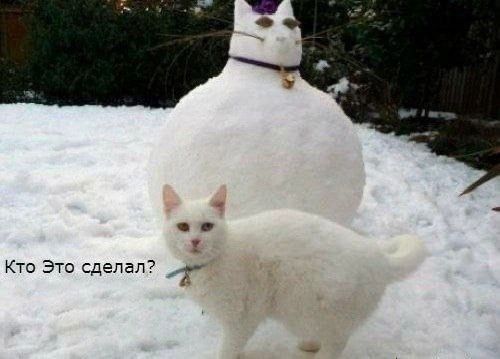 Кто зто сделала