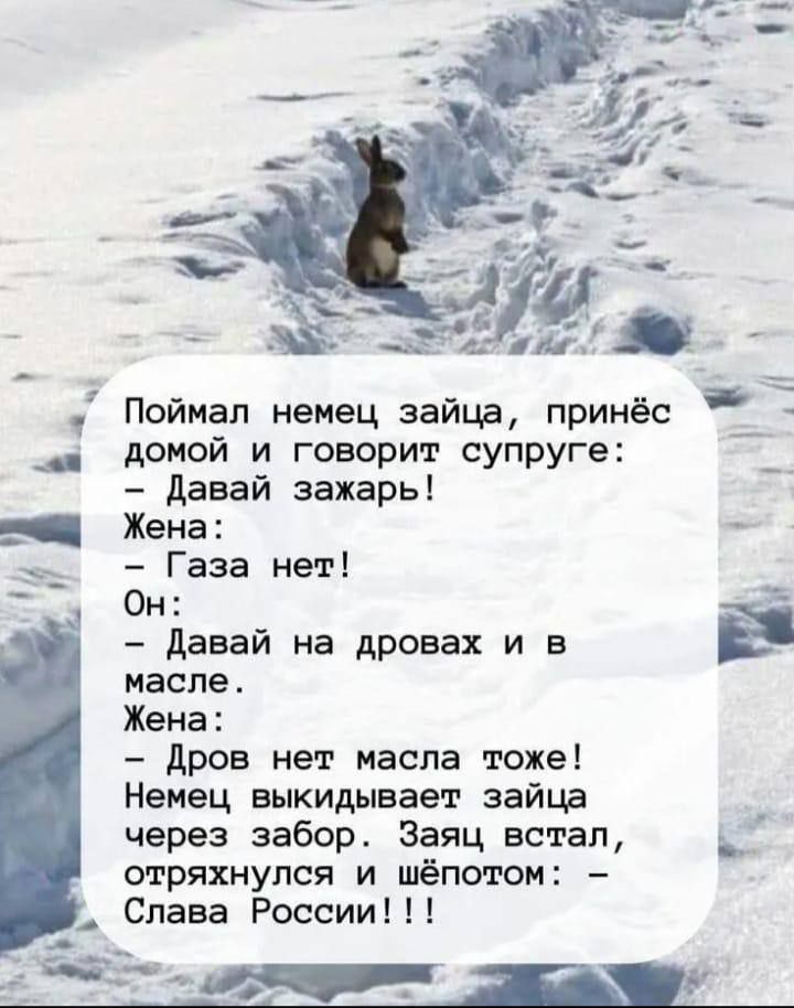 домой и говорит супруге давай зажарьі Жена Газа нет Он давай на дровах и в масле Жена дров мет масла тоже Немец выкидывает аайцв через забор Заяц встал отряхнулся и шёпотом Слава России