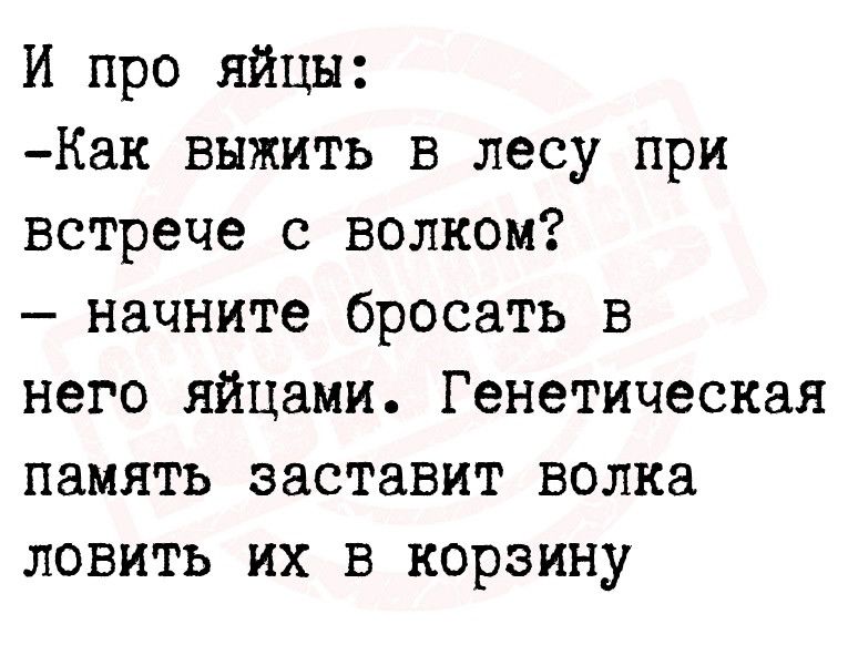 И про яйцн Как выжить в лесу при встрече с волком начните бросать в него яйцами Генетическая память заставит волка ловить их в корзину