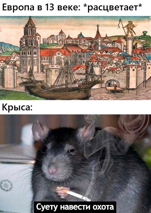 Суету навесги охот