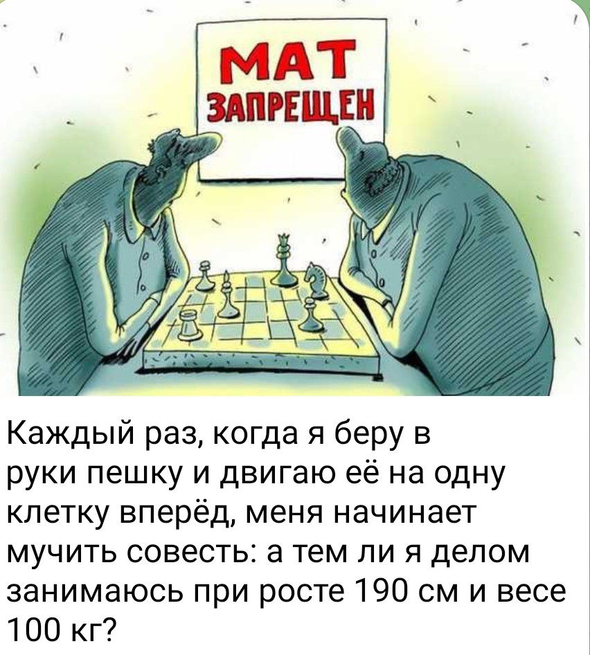 Каждый раз когда я беру в руки пешку и двигаю её на одну клетку вперёд меня начинает мучить совесть а тем ли я делом занимаюсь при росте 190 см и весе 100 кг