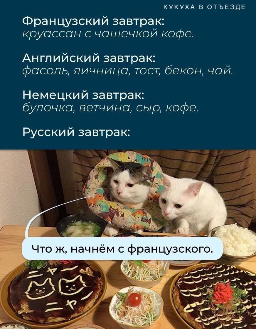 кукухд в стьЕздЕ Французский завтрак круассон с чашечкой кофе Английский завтрак фасоль яичница тост бекон чой Немецкий завтрак булочка ветчина сыр кофе Русский завтрак