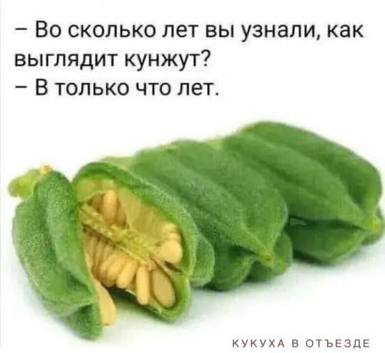 Во сколько лет вы узнали как выглядит кунжут В только что пет кукум в огъгзді