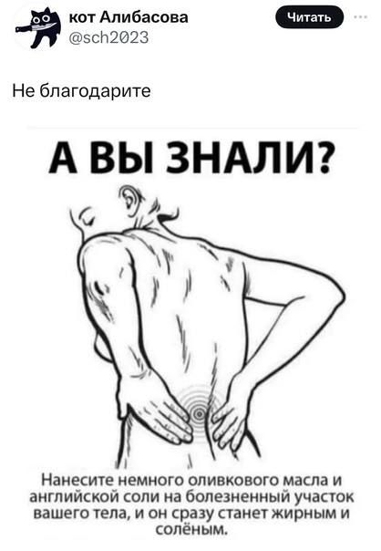 зсн2б23 кот Алибасова Не бпагодарите А ВЫ ЗНАЛИ Нанесите немного оливкового масла и английской соли на болезненный учасюк вашего гала и он сразу станет жирным и опёиым