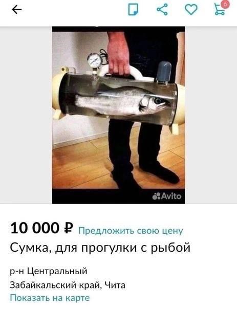 10 000 9 ч Сумка для прогулки с рыбой Центральный Забайкальский край Чита п