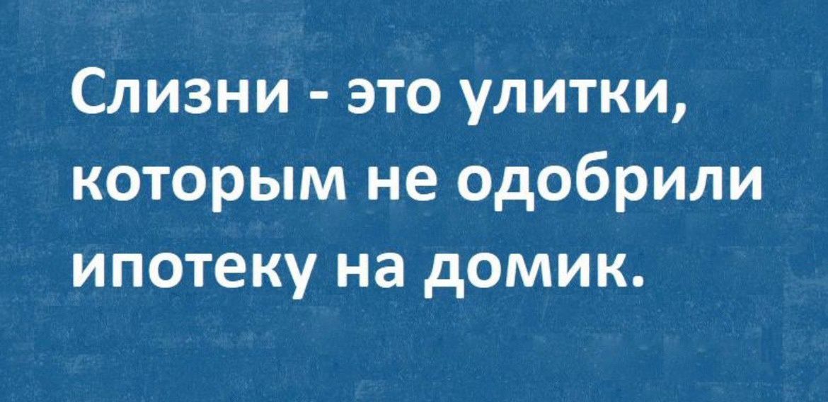 Слизни это улитки которым не одобрили ипотеку на домик