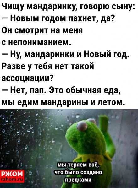 Чищу мандаринку говорю сыну Новым годом пахнет да Он смотрит на меня с непониманием Ну мандаринки и Новый год Разве у тебя нет такой ассоциации Нет пап Это обычная еда мы едим мандарины и летом мы торяем всё что буто создано предками