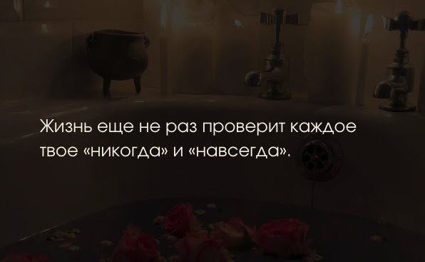 Жизнь еще не раз проверит каждое тое никогда и иновсегдо