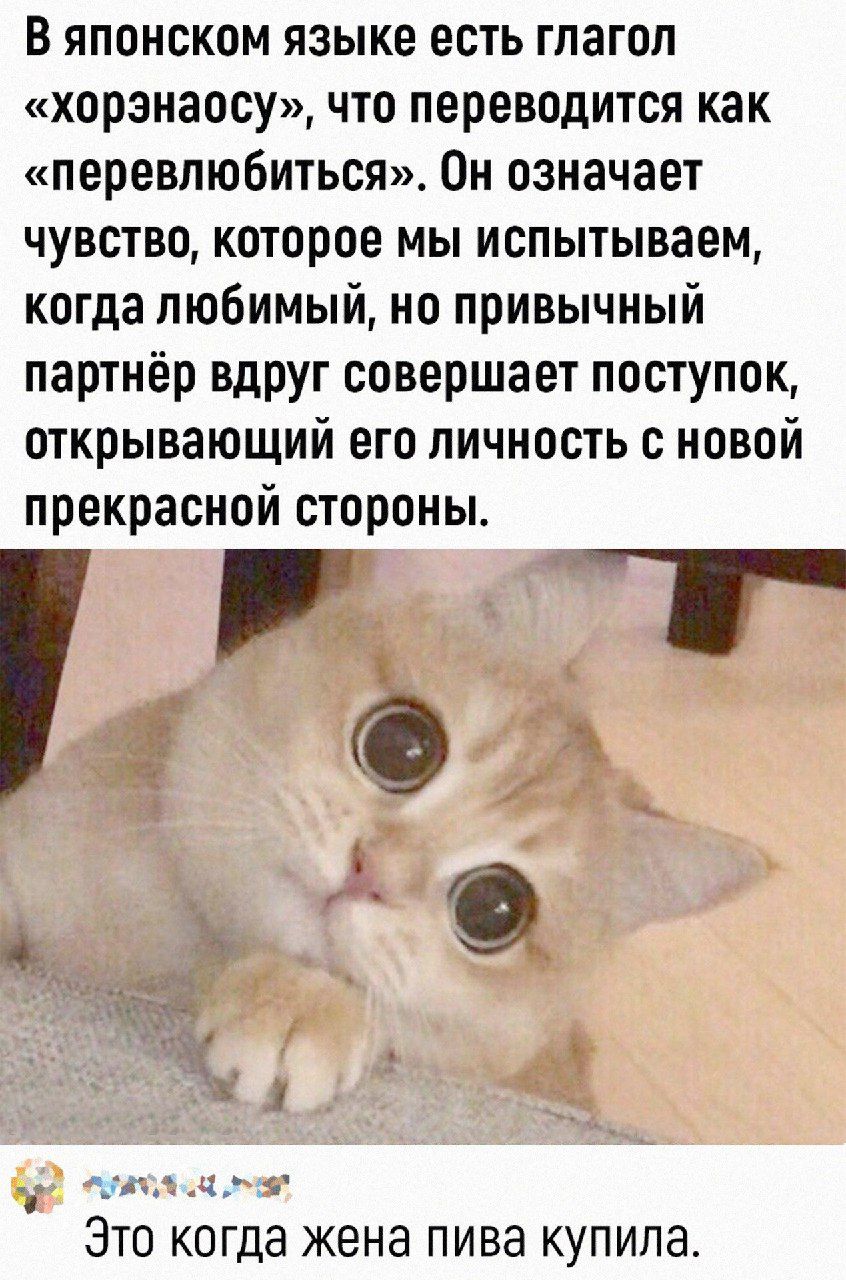 В японском языке есть гпагоп хорэиаосу что переводится как перевпюбиться Он означает чувство которое мы испытываем когда любимый но привычный партнёр вдруг совершает поступок открывающий его личность с новой прекрасной стороны ит Суд с __ ч _ ЭТО КОГДЭ жена пива КУПИЛЗ