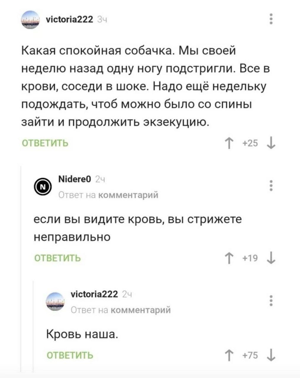 0 машин Какая спокойная собачка Мы своей неделю назад одну ногу подстригли Все в крови соседи в шоке Надо ещё недельку подождать чтоб можно было со спины зайти и продолжить экаекуцию отвпить т и шамп ткомкчцн и если вы видите кровь вы стрижете неправильно отвЕтить т 1 итти комменты Кровь наша ответить Т 1