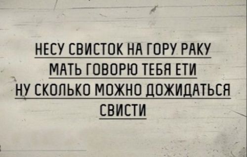 НЕСУ СВИЕТПК НЛ ГПРУ РАКУ _ МАТЬ ГОВОРЮ ТЕБЯ ЕТИ НУ СКОЛЬКО МОЖНО ЛОЖИЦАТЬЕН СВИЕТИ