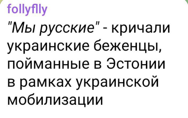 гоппуту Мы русские кричали украинские беженцы пойманные в Эстонии в рамках украинской мобилизации