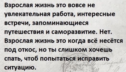 Взрослая жизнь это вовсе не увлекательная работа интересные встречи запоминающиеся путешествия и саморазвитие Нет Взрослая жизнь это когда всё несётся под откос но ты слишком хочешь спать чтоб попытаться исправить ситуацию