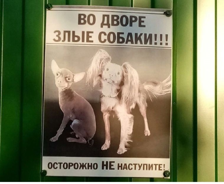ізбйдводЁ гэпыв совдкиш