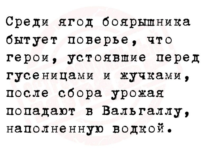 Среди ягод боярышника бытует поверье что герои устоявшие перед гусеницами и жучками после сбора урожая попадают в Вальгаллу наполненную водкой