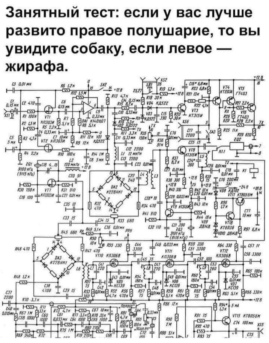 Занятный тест если у вас лучше развито правое полушарие то вы увидите собаку если левое жирафа