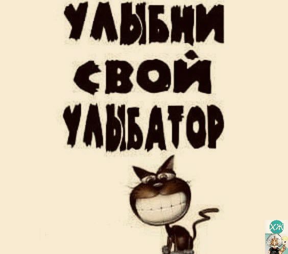 ищи СВОИ ШМО 15 й