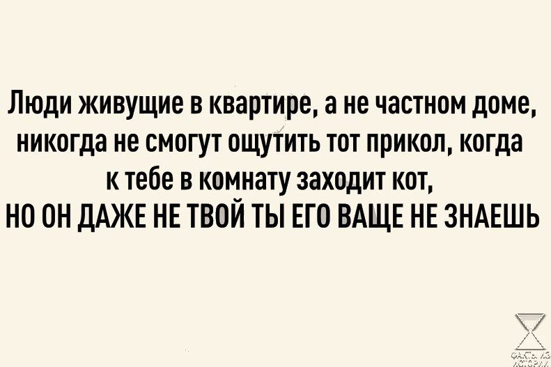 Люди живущие в квартире 3 не частном доме никогда не смогут ощутить тот прикол когда к тебе в комнату заходит кот но он дАЖЕ НЕ ТВОЙ ТЫ ЕГО ВАЩЕ НЕ ЗНАЕШЬ