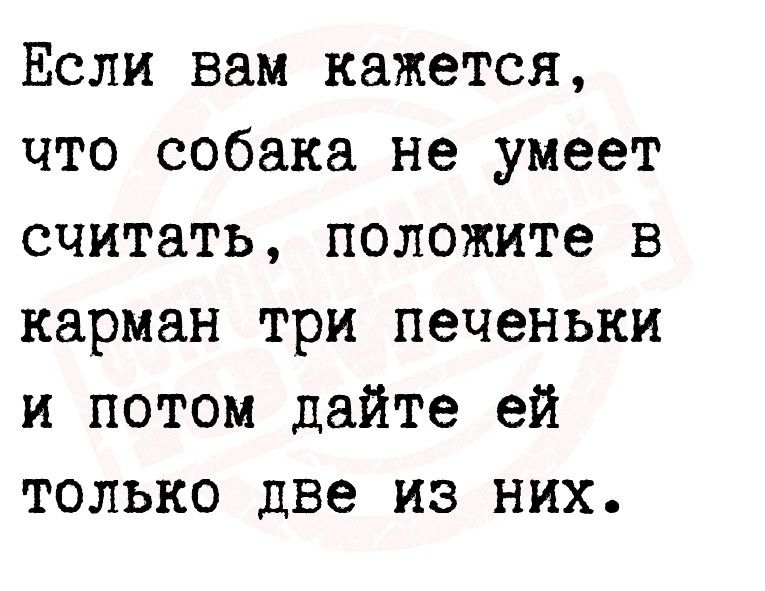 Если вам кажется что собака не умеет считать положите в карман три печеньки и потом дайте ей только две из них