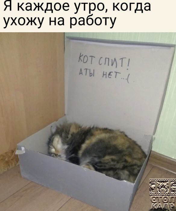 каждое утро когда ухожу на работу