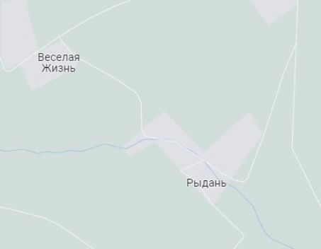 веселая жизнь Рыдаиь